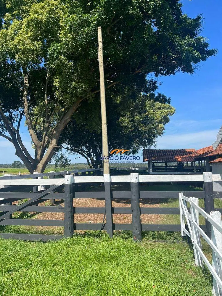 Fazenda, 322 hectares - Foto 8