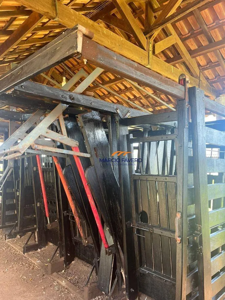 Fazenda, 322 hectares - Foto 13