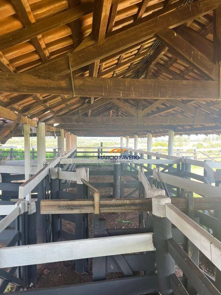 Fazenda, 322 hectares - Foto 15