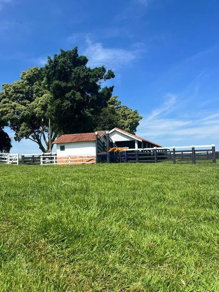 Fazenda, 322 hectares - Foto 8