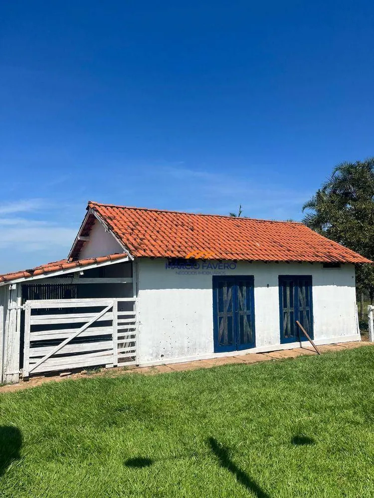 Fazenda, 322 hectares - Foto 4