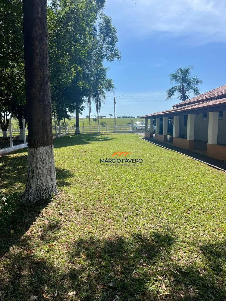 Fazenda, 322 hectares - Foto 1