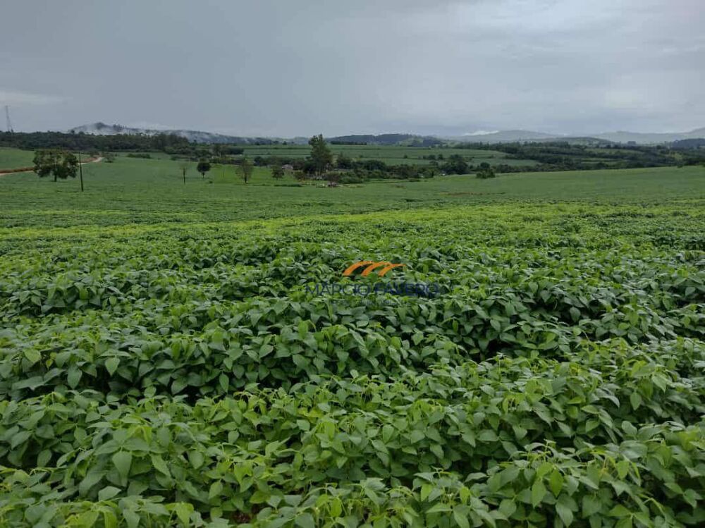 Fazenda, 235 hectares - Foto 4