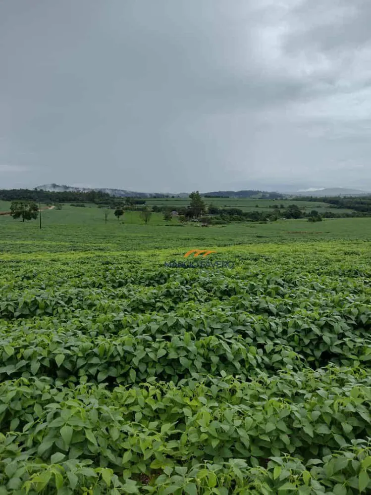 Fazenda, 235 hectares - Foto 7