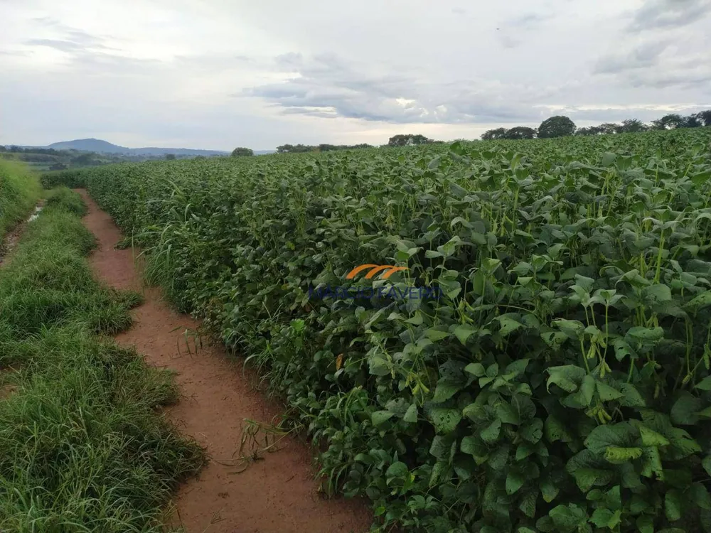 Fazenda, 235 hectares - Foto 8