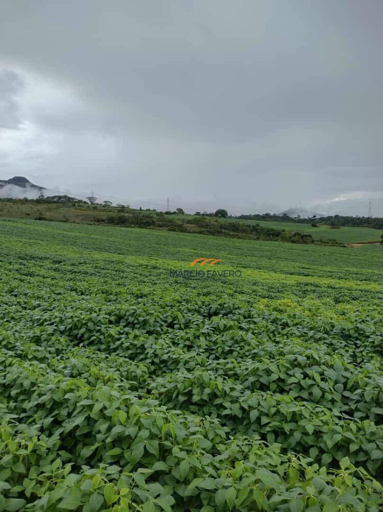 Fazenda, 235 hectares - Foto 1