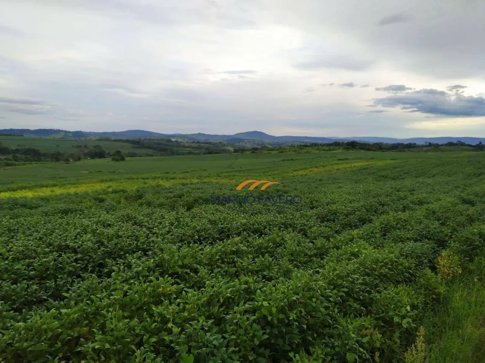 Fazenda, 235 hectares - Foto 6