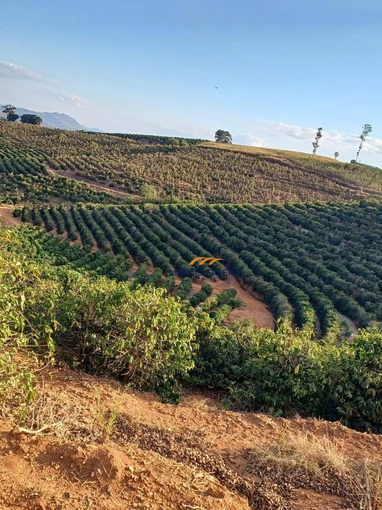 Fazenda, 53 hectares - Foto 14