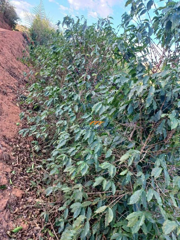 Fazenda, 53 hectares - Foto 13