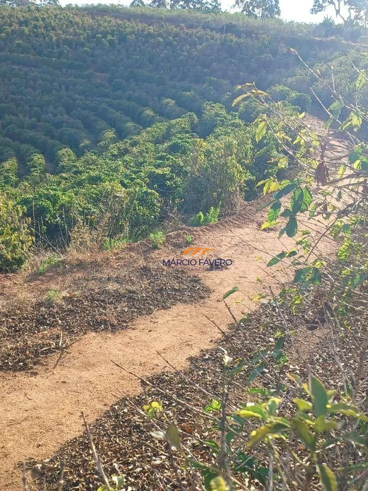 Fazenda, 53 hectares - Foto 5