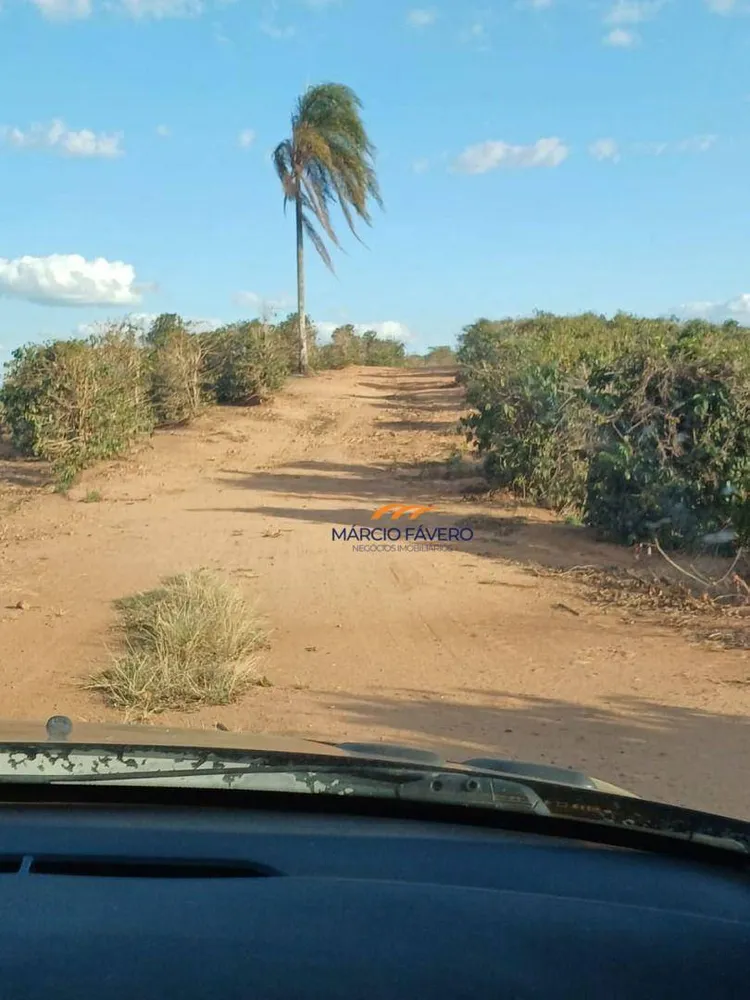 Fazenda, 53 hectares - Foto 11