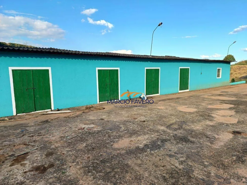 Fazenda, 53 hectares - Foto 4
