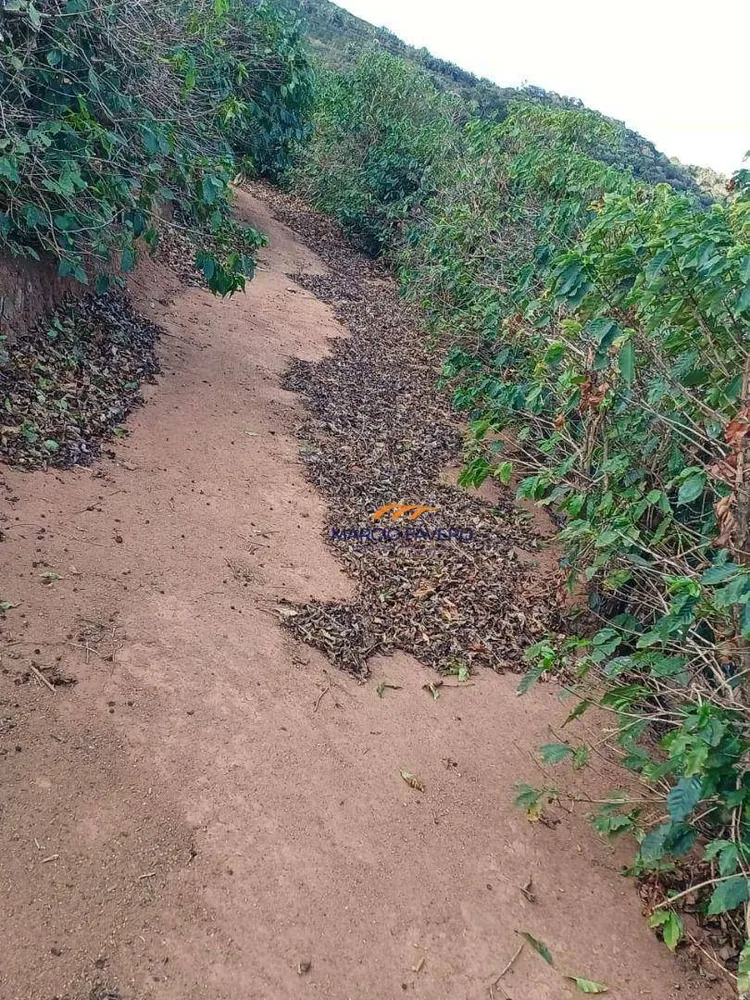 Fazenda, 53 hectares - Foto 6