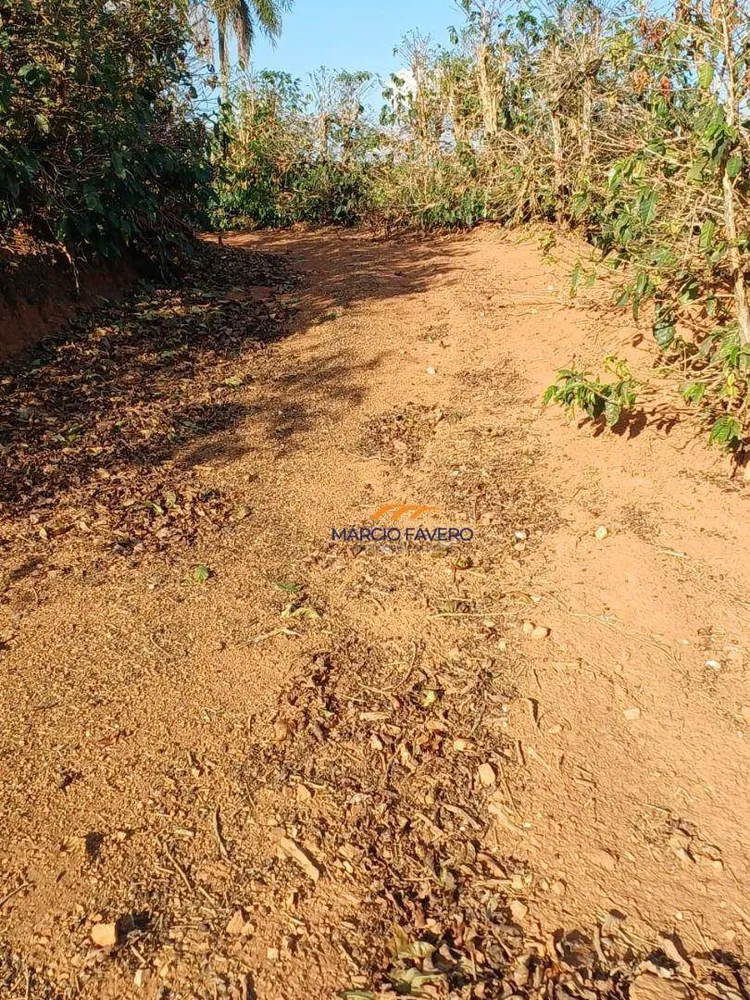 Fazenda, 53 hectares - Foto 8