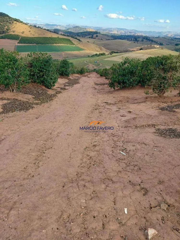 Fazenda, 53 hectares - Foto 9