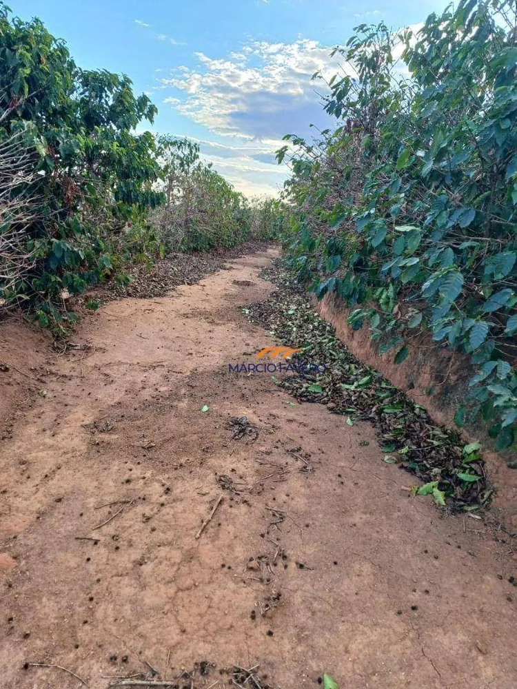 Fazenda, 53 hectares - Foto 15