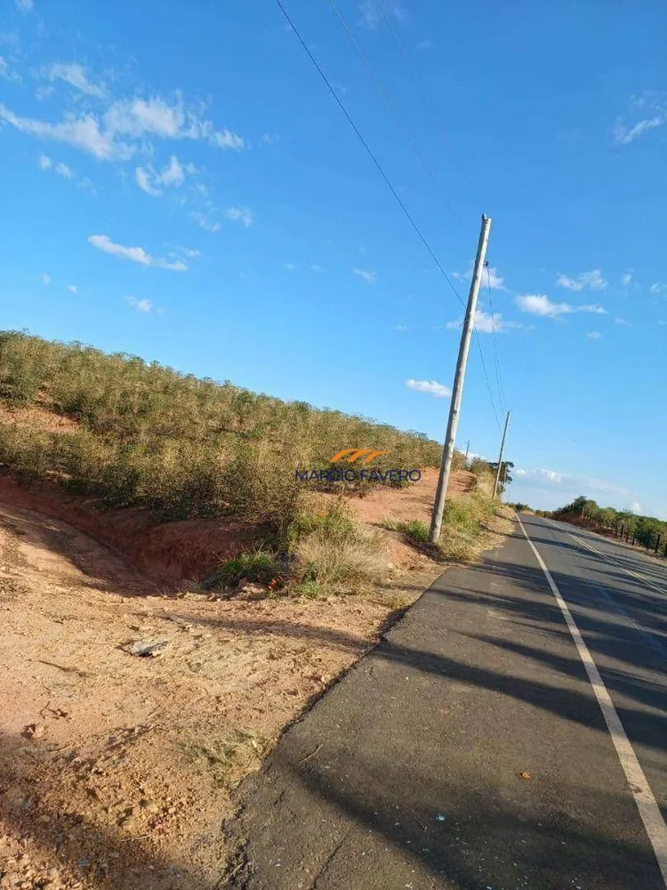 Fazenda, 53 hectares - Foto 10