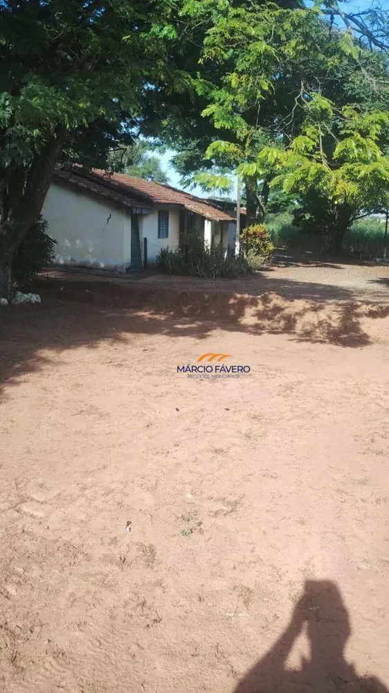 Sítio, 61 hectares - Foto 1