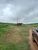 Fazenda-Sítio-Chácara, 225 hectares - Foto 3