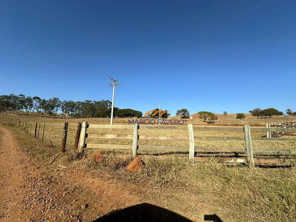Fazenda, 172 hectares - Foto 11