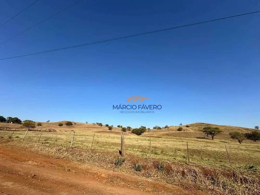 Fazenda, 172 hectares - Foto 13