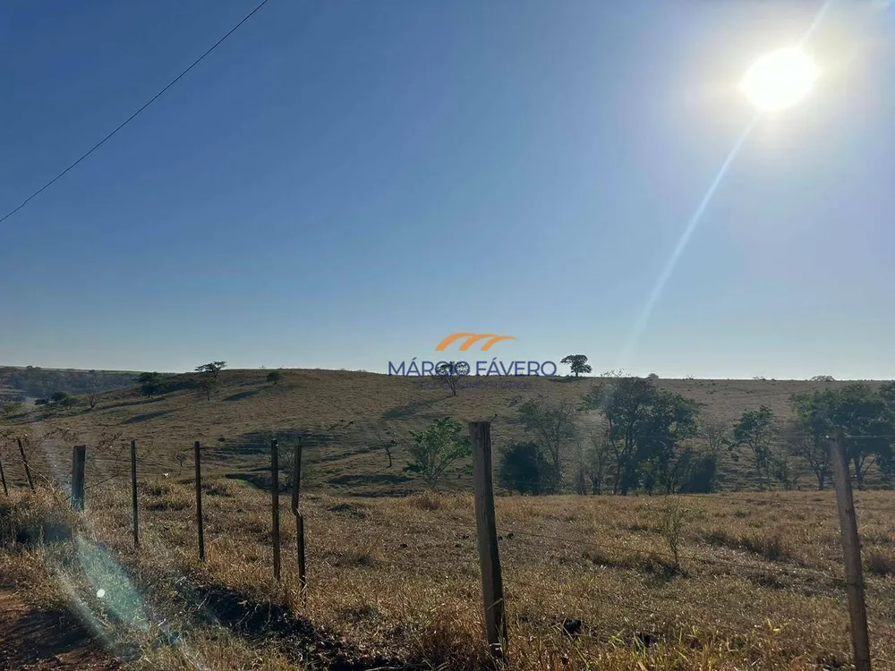 Fazenda, 172 hectares - Foto 14
