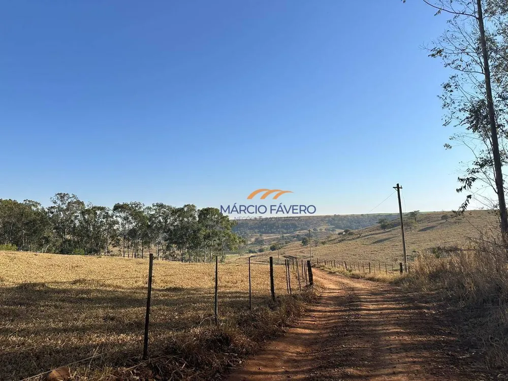 Fazenda, 172 hectares - Foto 10
