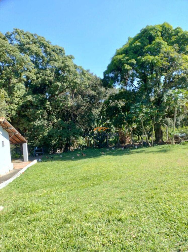 Sítio, 3 hectares - Foto 2