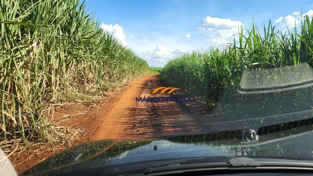 Fazenda, 140 hectares - Foto 8