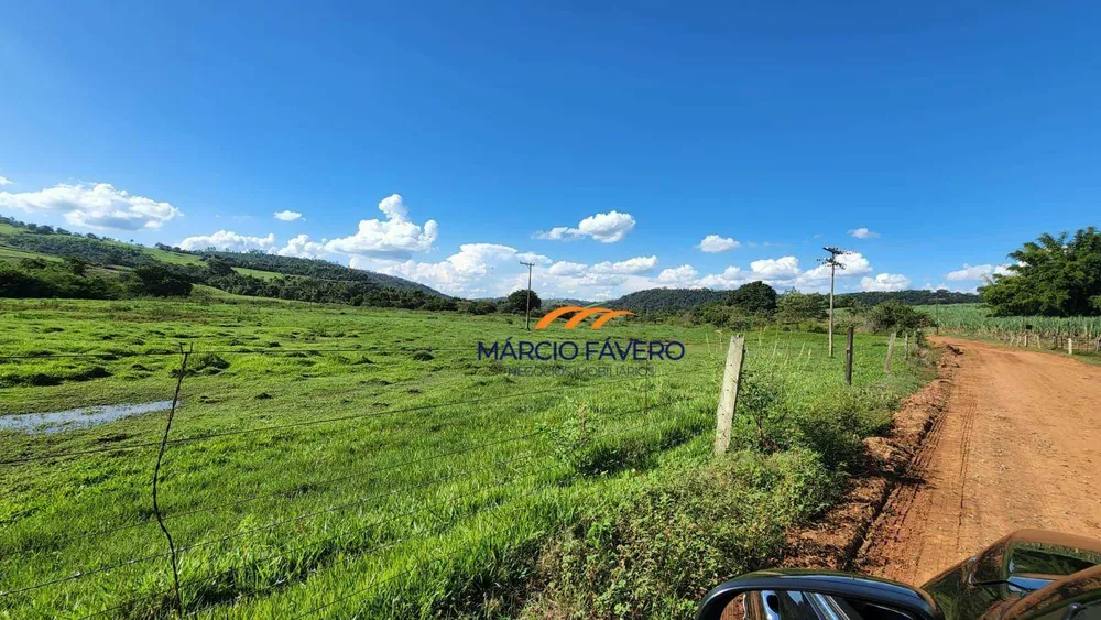 Fazenda, 140 hectares - Foto 8