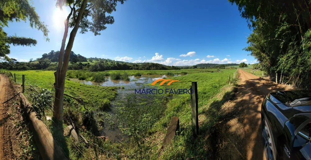 Fazenda, 140 hectares - Foto 6