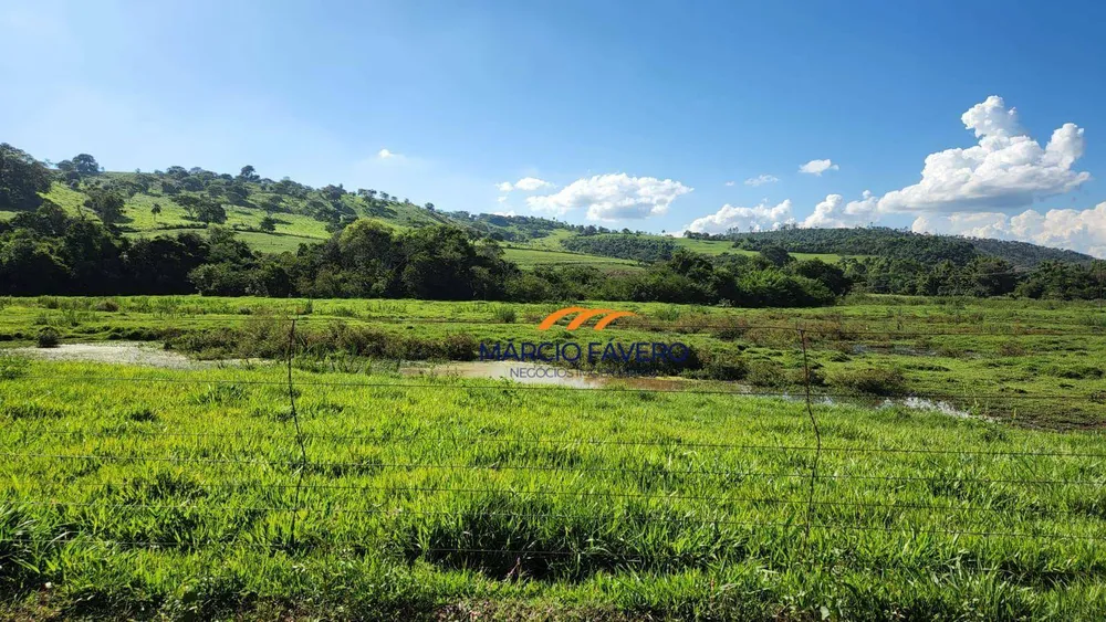 Fazenda, 140 hectares - Foto 6
