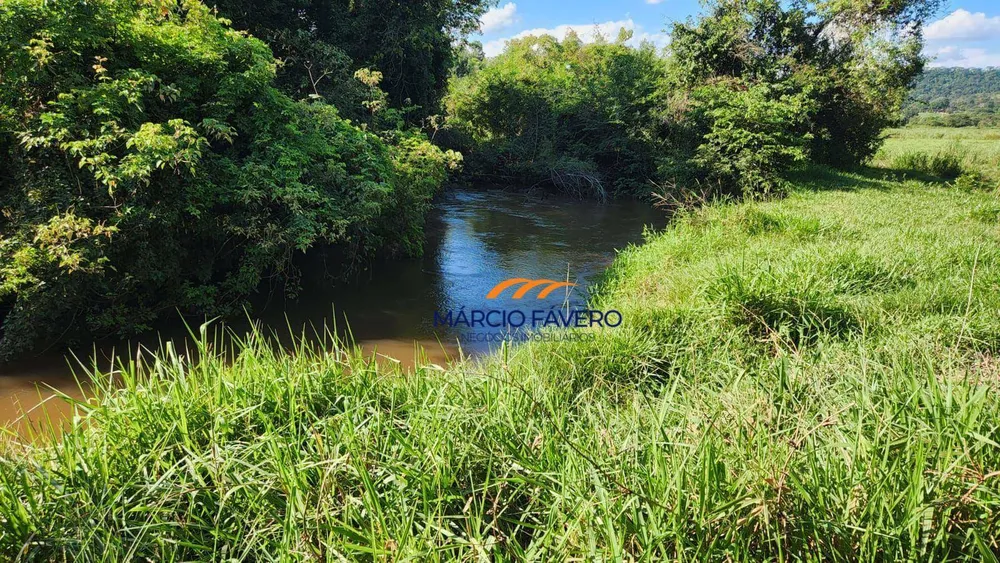 Fazenda, 140 hectares - Foto 7