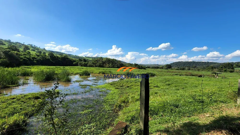 Fazenda, 140 hectares - Foto 4
