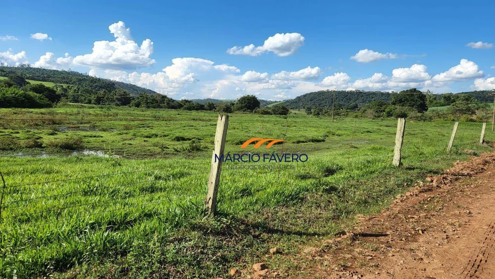 Fazenda, 140 hectares - Foto 3
