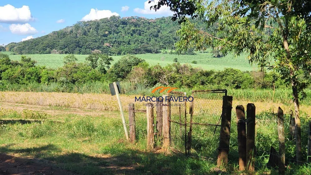 Fazenda, 140 hectares - Foto 2