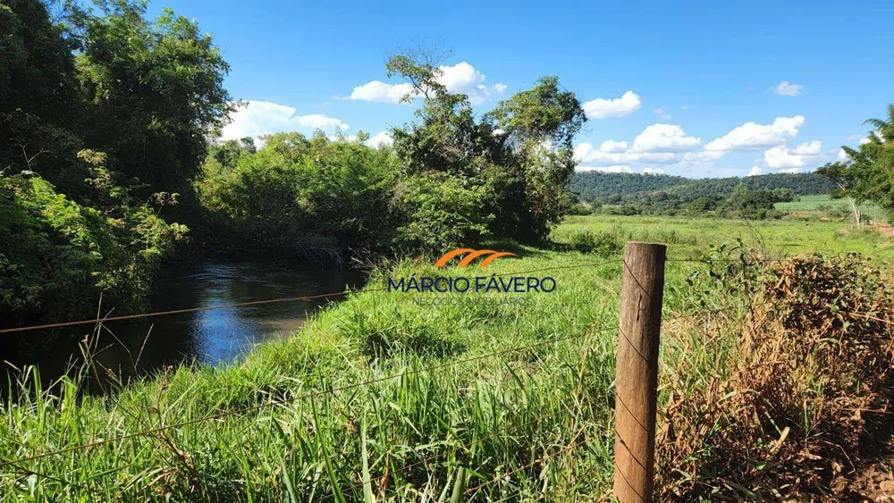 Fazenda, 140 hectares - Foto 10