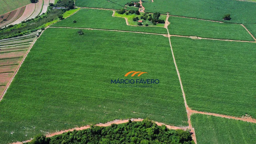 Sítio, 79 hectares - Foto 4