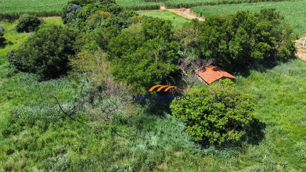 Sítio, 79 hectares - Foto 1