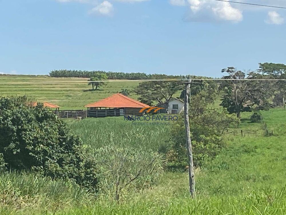 Sítio, 24 hectares - Foto 5