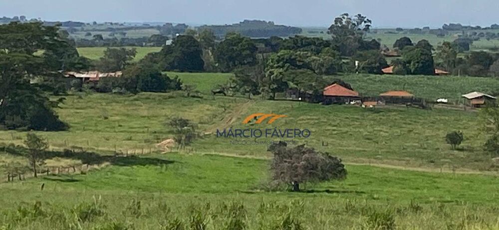 Sítio, 24 hectares - Foto 1