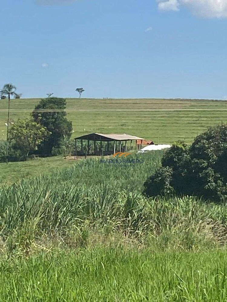 Sítio, 24 hectares - Foto 6