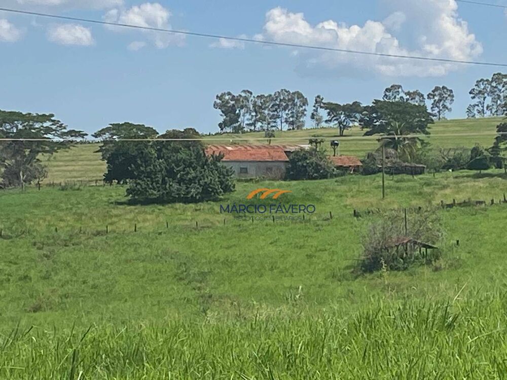 Sítio, 24 hectares - Foto 7