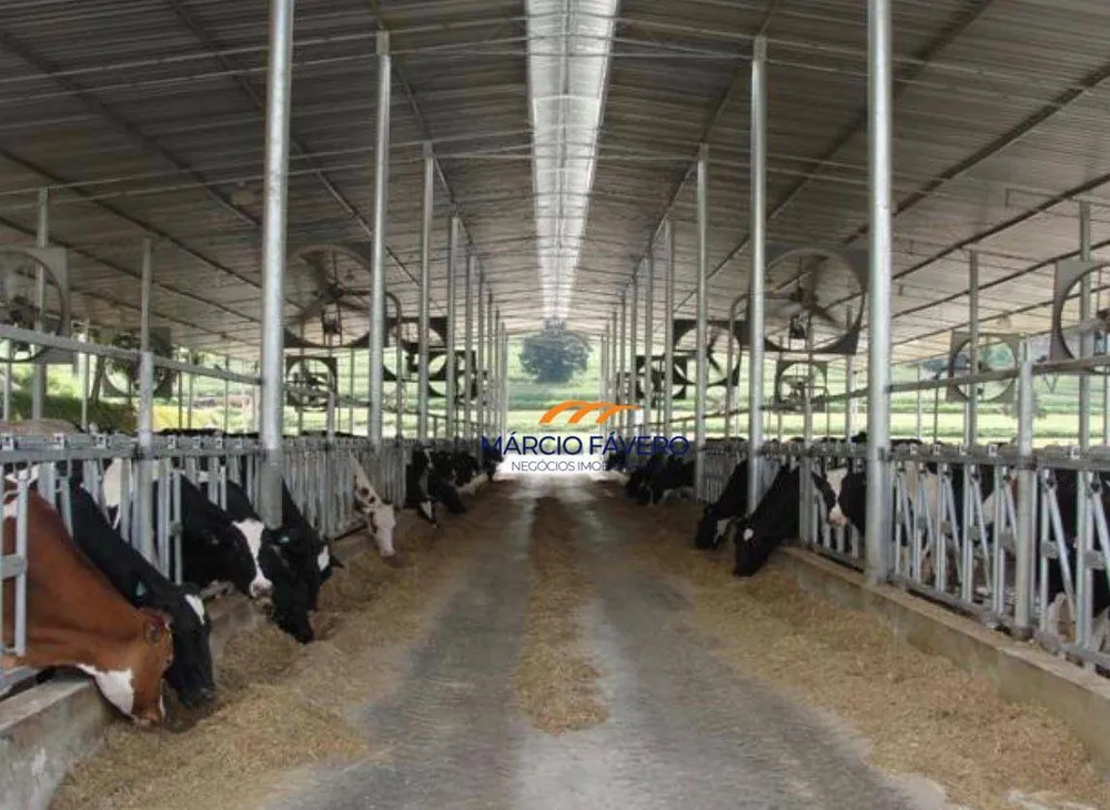 Fazenda, 155 hectares - Foto 1