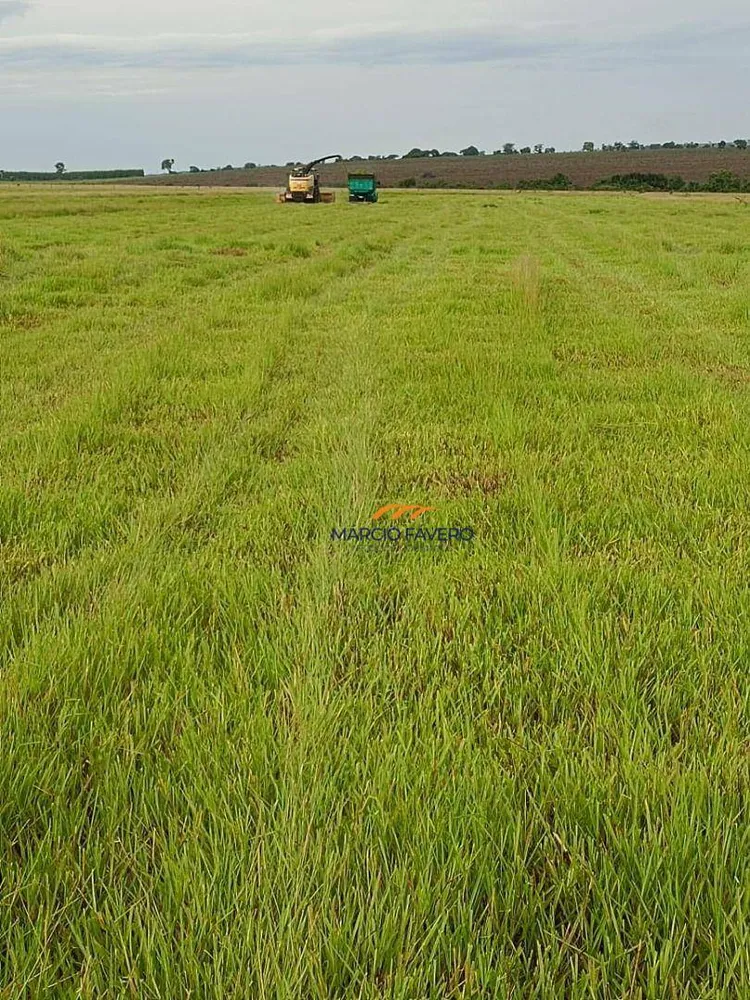 Fazenda, 542 hectares - Foto 7