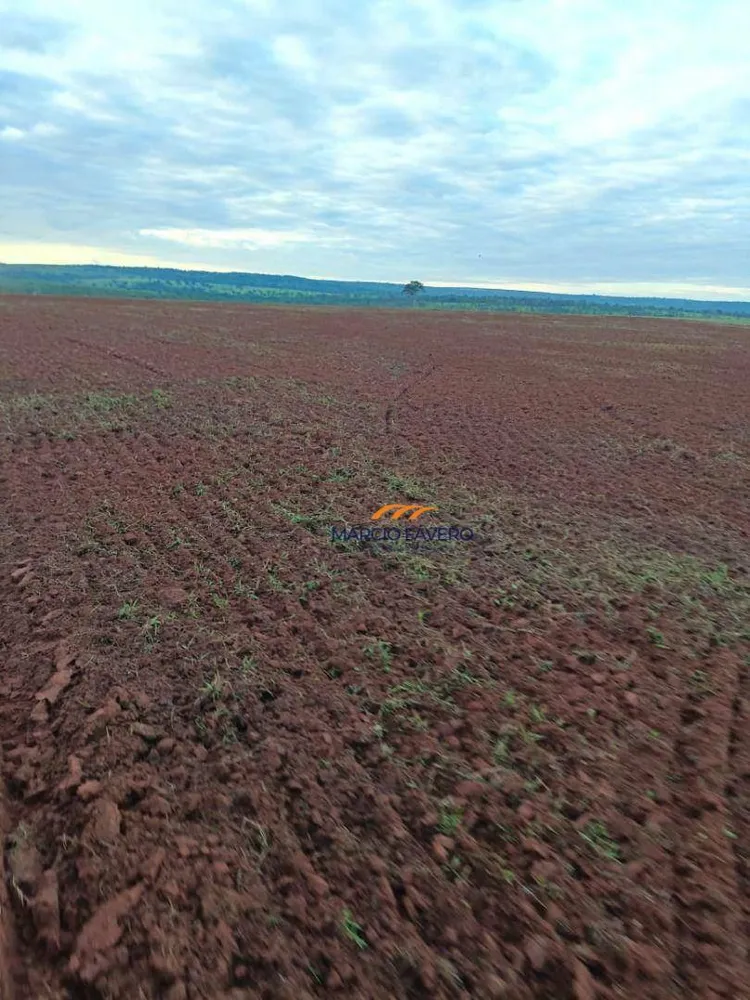 Fazenda, 542 hectares - Foto 6