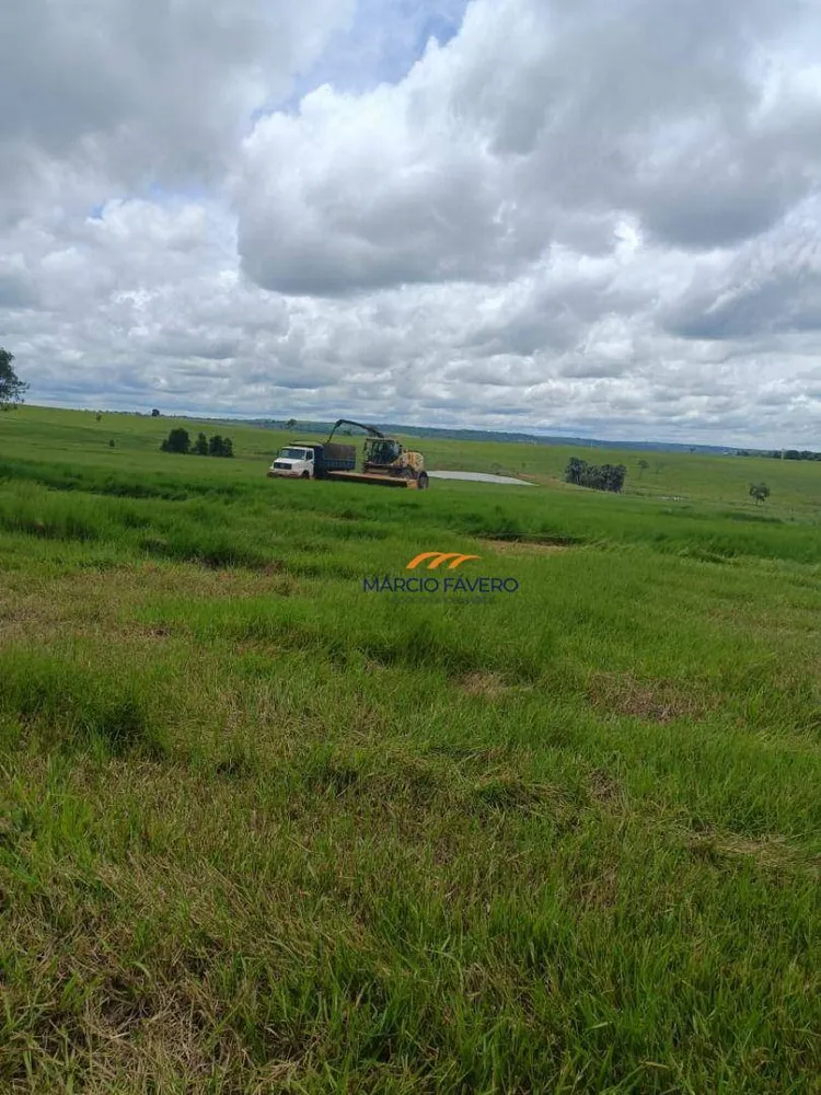 Fazenda, 542 hectares - Foto 3