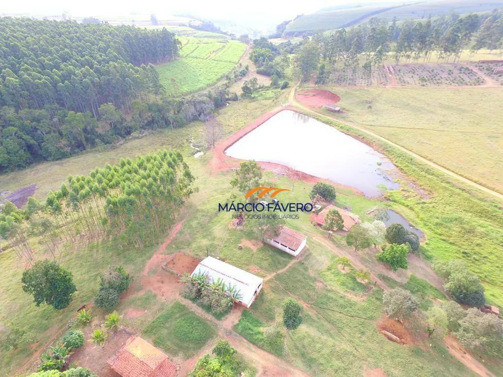 Sítio, 46 hectares - Foto 4