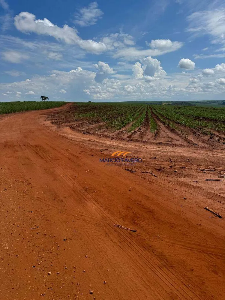 Fazenda, 1946 hectares - Foto 6