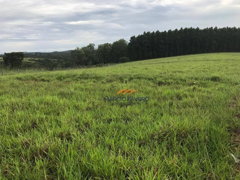 Fazenda, 425 hectares - Foto 2